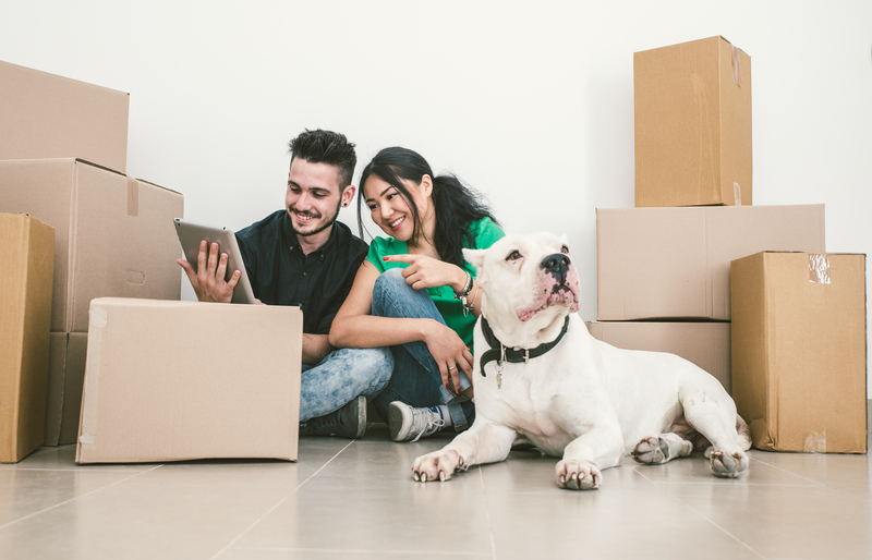 moving company moving services